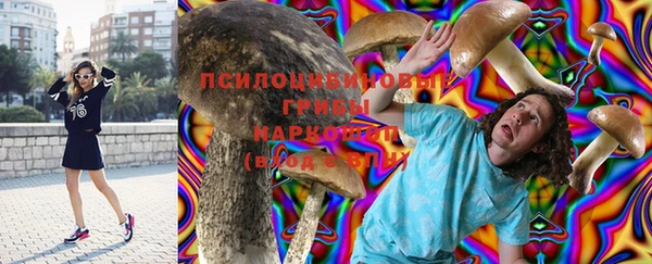крисы Алексин
