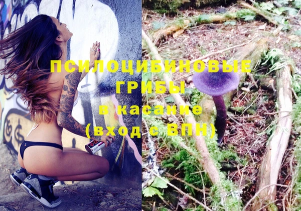 крисы Алексин